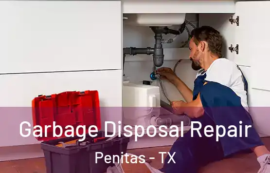  Garbage Disposal Repair Penitas - TX