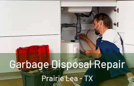  Garbage Disposal Repair Prairie Lea - TX