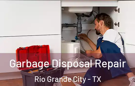  Garbage Disposal Repair Rio Grande City - TX