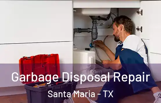  Garbage Disposal Repair Santa Maria - TX