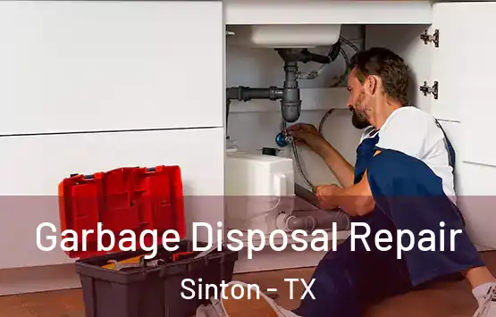  Garbage Disposal Repair Sinton - TX
