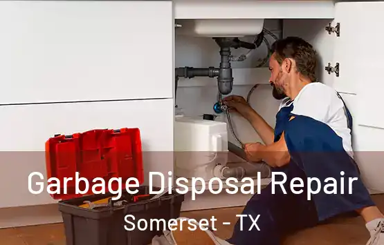  Garbage Disposal Repair Somerset - TX
