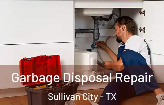  Garbage Disposal Repair Sullivan City - TX