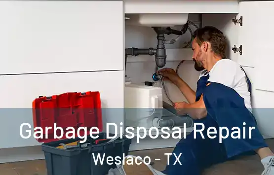  Garbage Disposal Repair Weslaco - TX