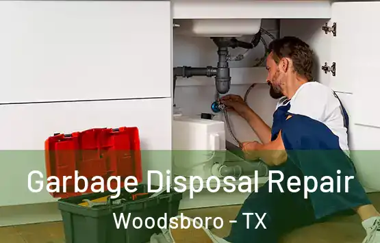  Garbage Disposal Repair Woodsboro - TX