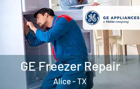  GE Freezer Repair Alice - TX