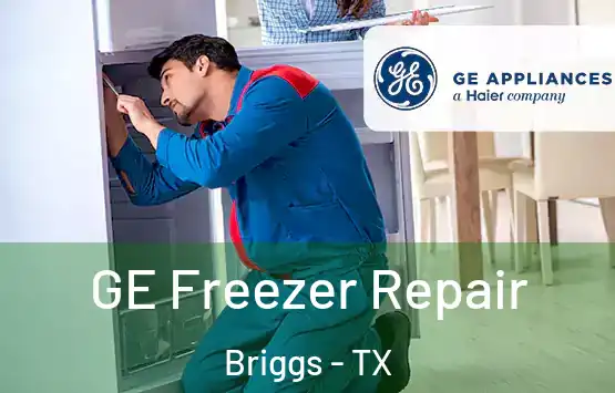  GE Freezer Repair Briggs - TX