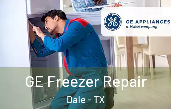  GE Freezer Repair Dale - TX