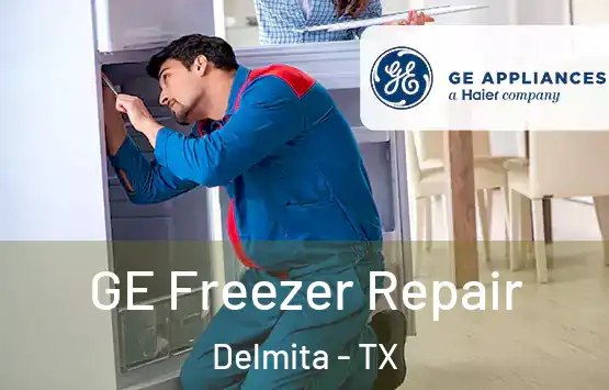  GE Freezer Repair Delmita - TX