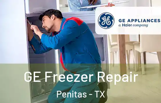  GE Freezer Repair Penitas - TX