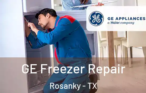  GE Freezer Repair Rosanky - TX