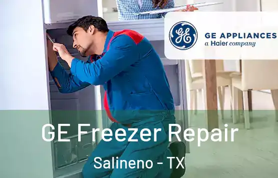  GE Freezer Repair Salineno - TX