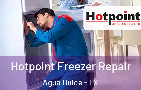  Hotpoint Freezer Repair Agua Dulce - TX