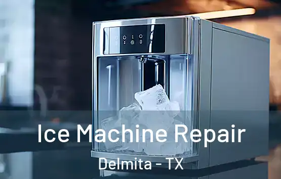  Ice Machine Repair Delmita - TX