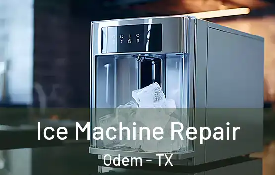  Ice Machine Repair Odem - TX