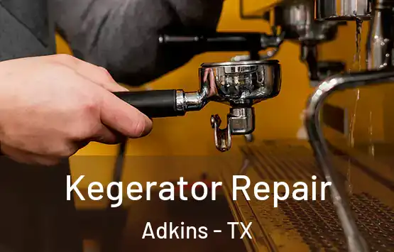  Kegerator Repair Adkins - TX