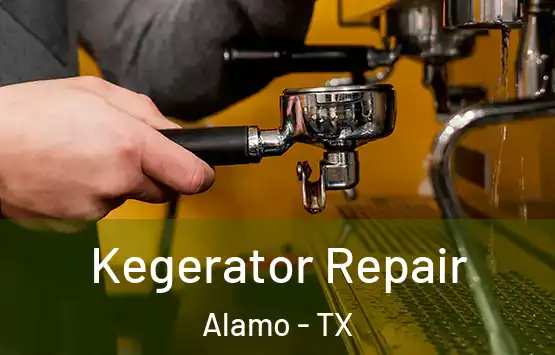  Kegerator Repair Alamo - TX