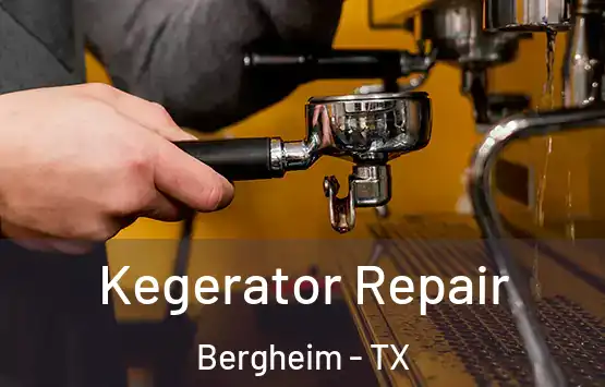  Kegerator Repair Bergheim - TX