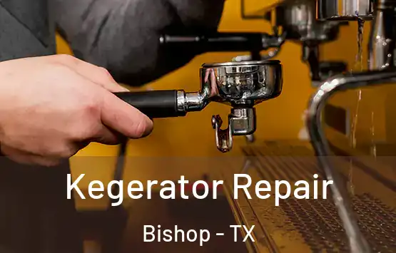  Kegerator Repair Bishop - TX