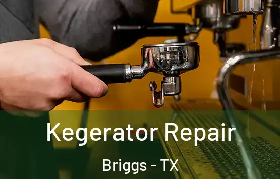 Kegerator Repair Briggs - TX