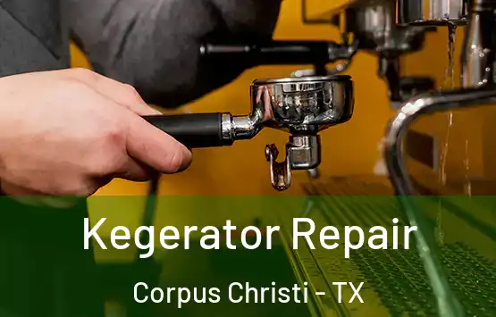  Kegerator Repair Corpus Christi - TX
