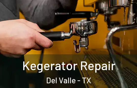  Kegerator Repair Del Valle - TX
