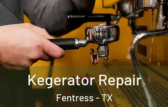  Kegerator Repair Fentress - TX