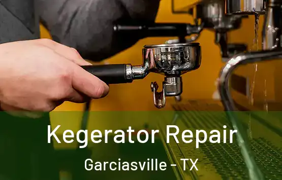  Kegerator Repair Garciasville - TX