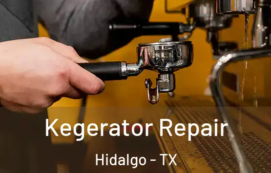  Kegerator Repair Hidalgo - TX