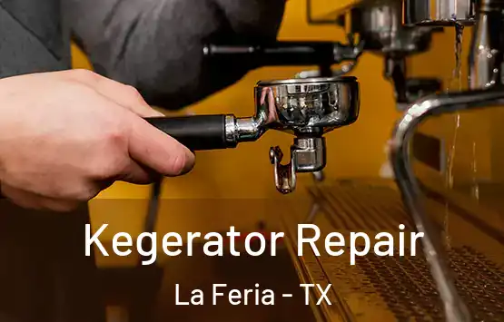  Kegerator Repair La Feria - TX