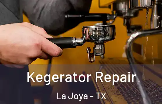  Kegerator Repair La Joya - TX