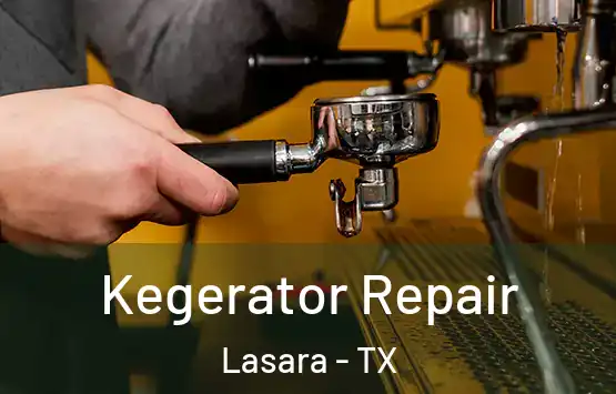  Kegerator Repair Lasara - TX