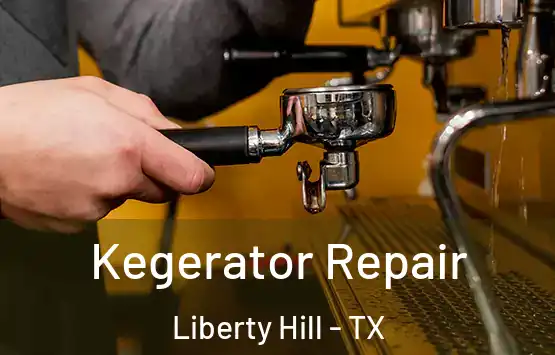  Kegerator Repair Liberty Hill - TX