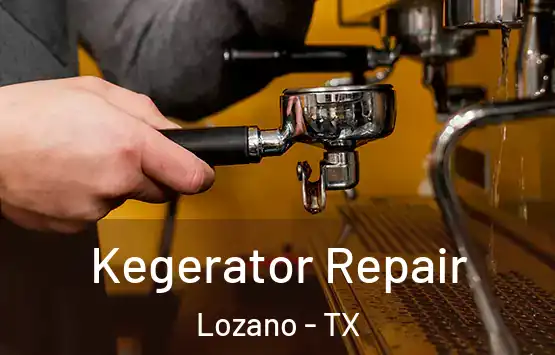  Kegerator Repair Lozano - TX
