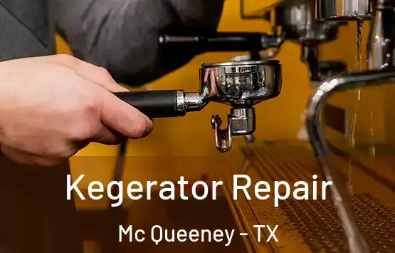  Kegerator Repair Mc Queeney - TX