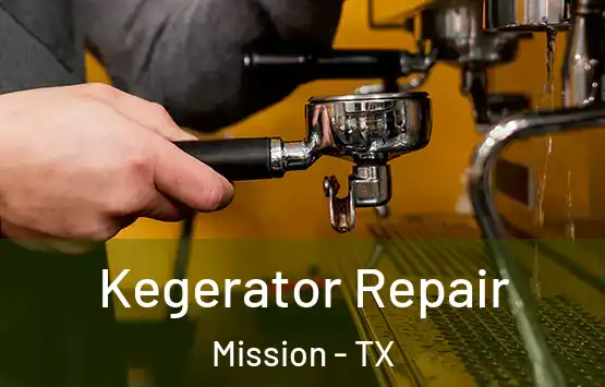  Kegerator Repair Mission - TX
