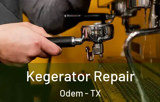  Kegerator Repair Odem - TX