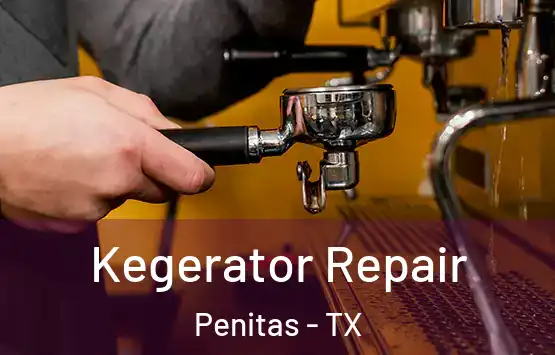  Kegerator Repair Penitas - TX