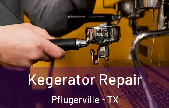  Kegerator Repair Pflugerville - TX