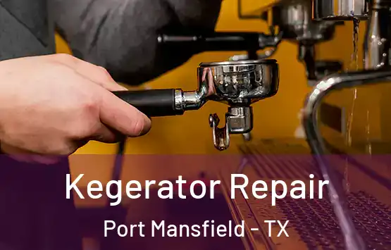  Kegerator Repair Port Mansfield - TX