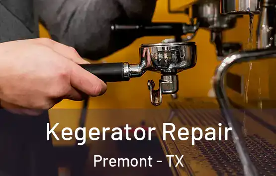  Kegerator Repair Premont - TX