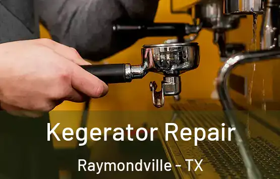  Kegerator Repair Raymondville - TX