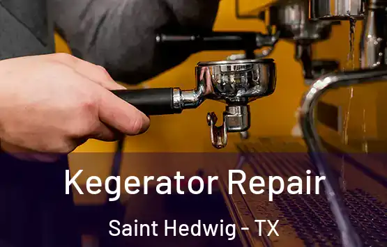  Kegerator Repair Saint Hedwig - TX
