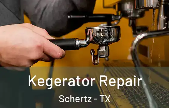  Kegerator Repair Schertz - TX