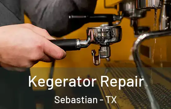  Kegerator Repair Sebastian - TX