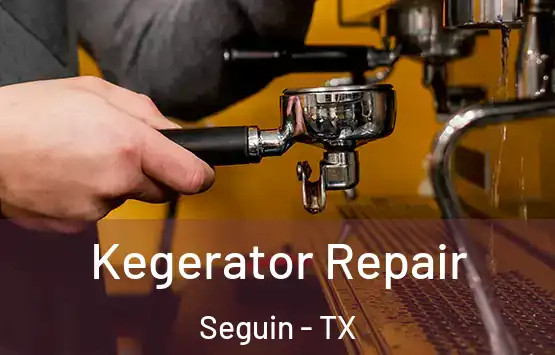  Kegerator Repair Seguin - TX