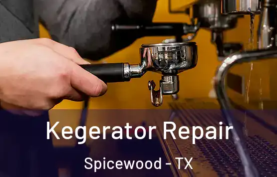  Kegerator Repair Spicewood - TX