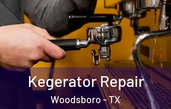  Kegerator Repair Woodsboro - TX