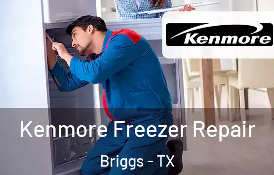  Kenmore Freezer Repair Briggs - TX