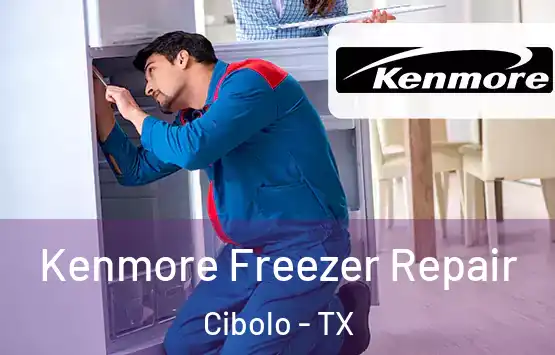  Kenmore Freezer Repair Cibolo - TX